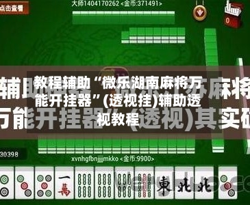 教程辅助“微乐湖南麻将万能开挂器	”(透视挂)辅助透视教程-第2张图片