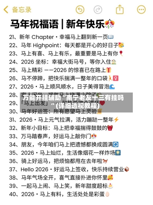 万能开挂辅助“南宁老友十三有挂吗	”(详细透视教程)-第2张图片