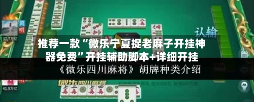 推荐一款“微乐宁夏捉老麻子开挂神器免费”开挂辅助脚本+详细开挂-第3张图片
