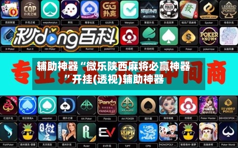 辅助神器“微乐陕西麻将必赢神器”开挂(透视)辅助神器-第3张图片