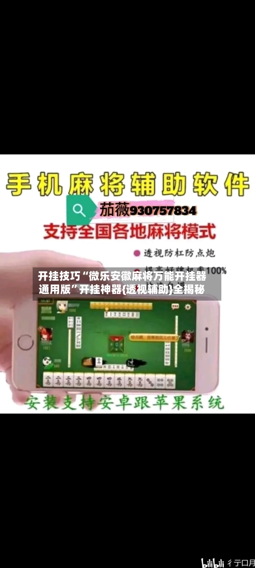 开挂技巧“微乐安徽麻将万能开挂器通用版”开挂神器{透视辅助}全揭秘-第3张图片