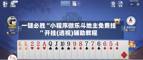 一键必胜“小程序微乐斗地主免费挂”开挂(透视)辅助教程-第3张图片