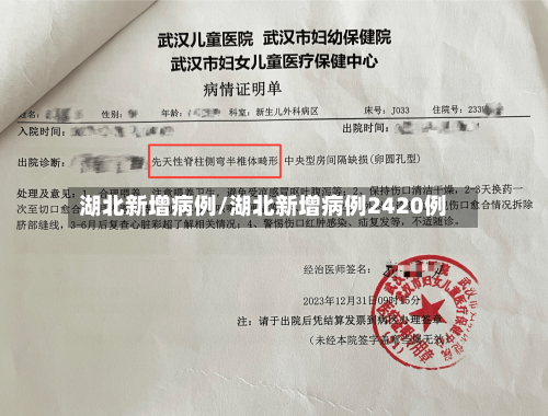 湖北新增病例/湖北新增病例2420例-第1张图片