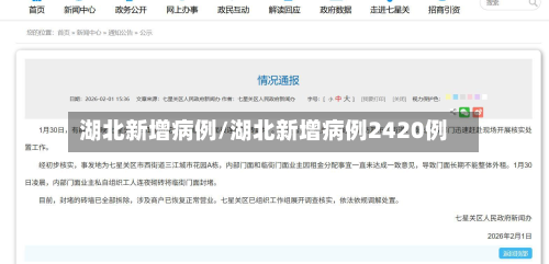 湖北新增病例/湖北新增病例2420例-第3张图片