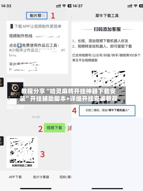 教程分享“哈灵麻将开挂神器下载安装	”开挂辅助脚本+详细开挂安装教程-第2张图片