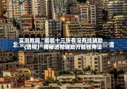 实测教程“嘟嘟十三张有没有挂辅助”(透视)”揭秘透视辅助万能挂用法-第3张图片