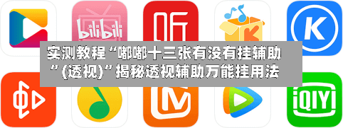 实测教程“嘟嘟十三张有没有挂辅助	”(透视)”揭秘透视辅助万能挂用法-第1张图片
