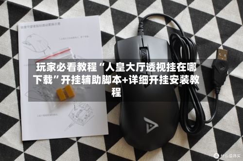 玩家必看教程“人皇大厅透视挂在哪下载	”开挂辅助脚本+详细开挂安装教程-第2张图片