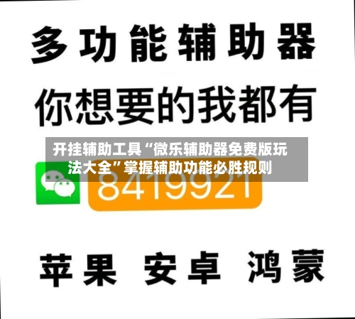 开挂辅助工具“微乐辅助器免费版玩法大全	”掌握辅助功能必胜规则-第1张图片