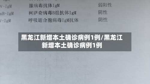 黑龙江新增本土确诊病例1例/黑龙江新增本土确诊病例1例-第3张图片