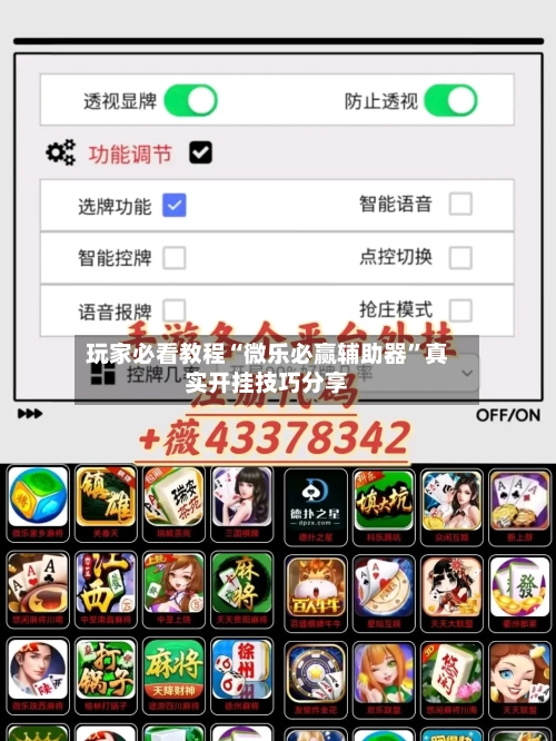 玩家必看教程“微乐必赢辅助器”真实开挂技巧分享-第2张图片