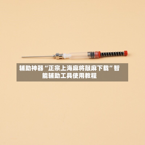 辅助神器“正宗上海麻将敲麻下载	”智能辅助工具使用教程-第2张图片