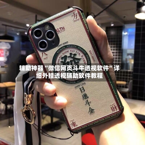 辅助神器“微信网页斗牛透视软件”详细外挂透视辅助软件教程-第2张图片