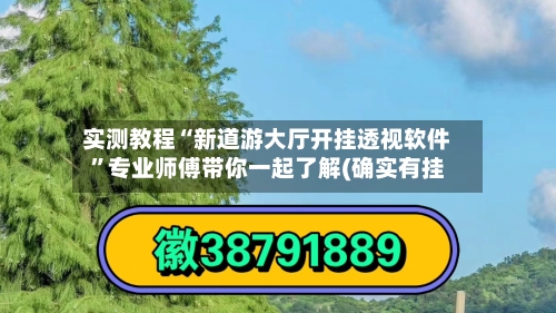 实测教程“新道游大厅开挂透视软件”专业师傅带你一起了解(确实有挂-第1张图片
