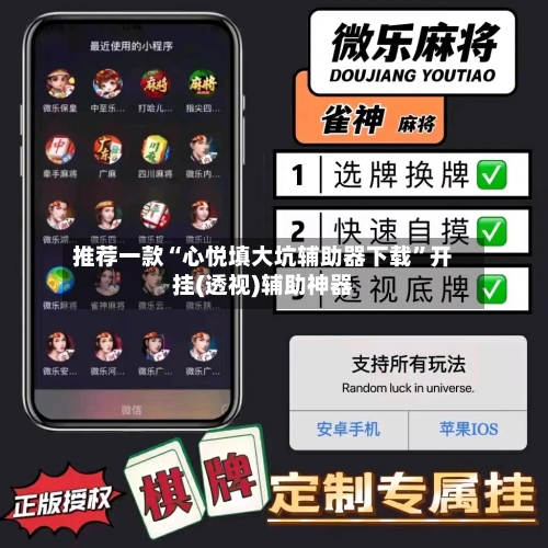 推荐一款“心悦填大坑辅助器下载	”开挂(透视)辅助神器-第1张图片