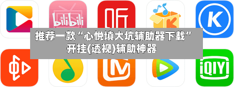 推荐一款“心悦填大坑辅助器下载”开挂(透视)辅助神器-第2张图片