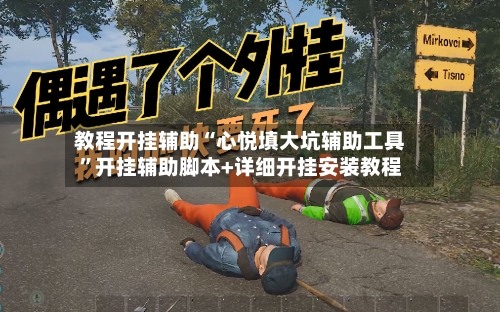教程开挂辅助“心悦填大坑辅助工具”开挂辅助脚本+详细开挂安装教程-第2张图片