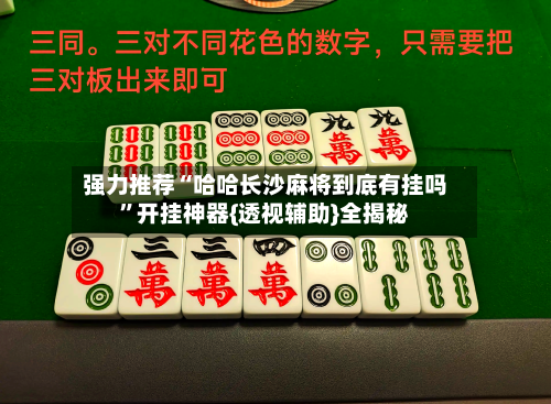 强力推荐“哈哈长沙麻将到底有挂吗”开挂神器{透视辅助}全揭秘-第2张图片