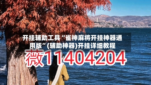 开挂辅助工具“雀神麻将开挂神器通用版”(辅助神器)开挂详细教程-第3张图片