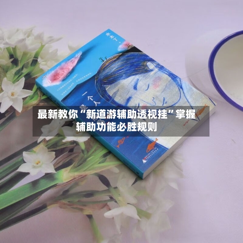 最新教你“新道游辅助透视挂	”掌握辅助功能必胜规则-第2张图片