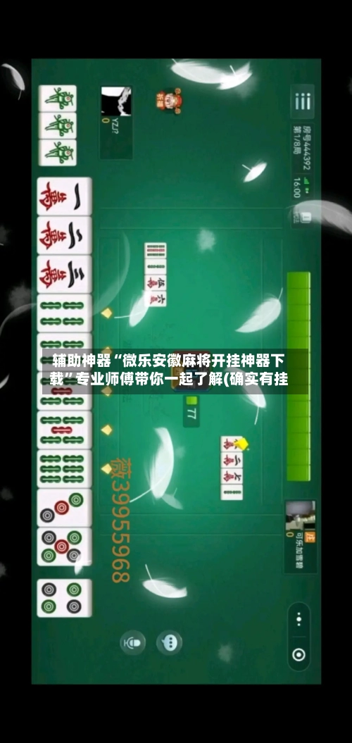 辅助神器“微乐安徽麻将开挂神器下载”专业师傅带你一起了解(确实有挂-第3张图片