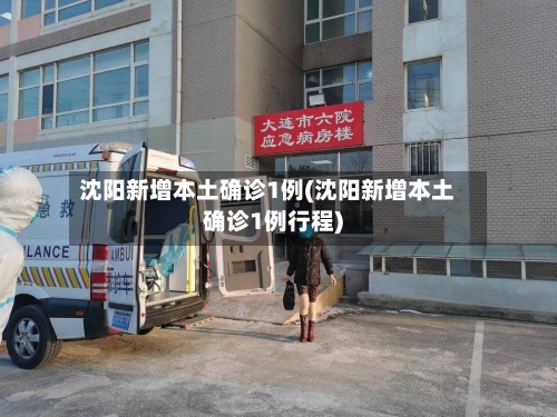 沈阳新增本土确诊1例(沈阳新增本土确诊1例行程)-第2张图片