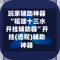 玩家辅助神器“福建十三水开挂辅助器”开挂(透视)辅助神器-第2张图片