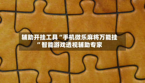 辅助开挂工具“手机微乐麻将万能挂	”智能游戏透视辅助专家-第3张图片