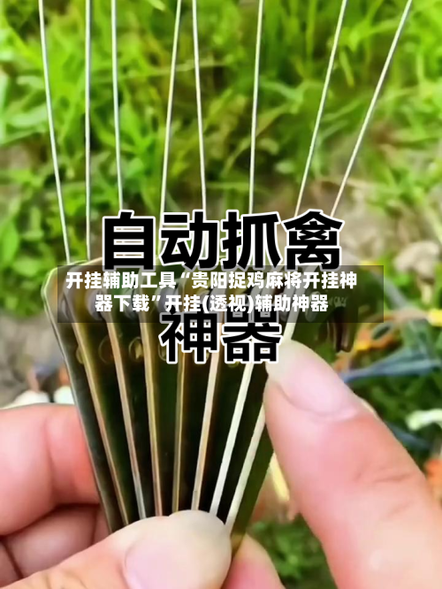 开挂辅助工具“贵阳捉鸡麻将开挂神器下载”开挂(透视)辅助神器-第2张图片