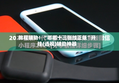 教程辅助！“嘟嘟十三张挂正版	”开挂(透视)辅助神器-第1张图片
