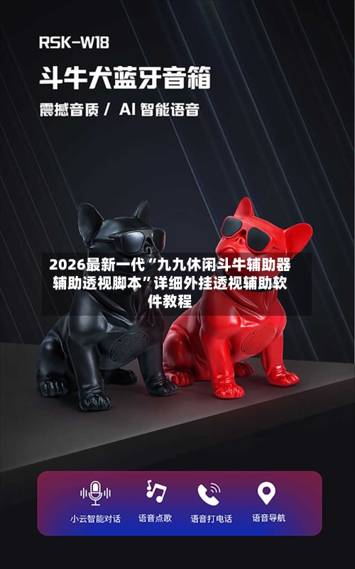 2026最新一代“九九休闲斗牛辅助器辅助透视脚本”详细外挂透视辅助软件教程-第2张图片