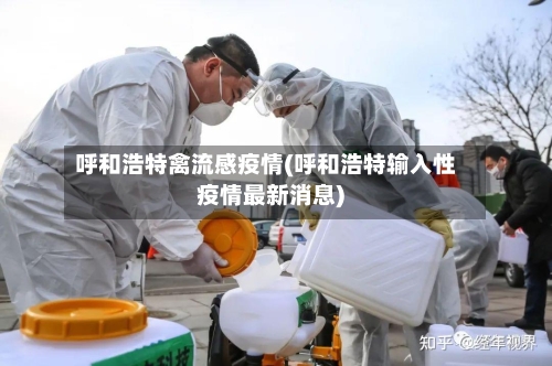 呼和浩特禽流感疫情(呼和浩特输入性疫情最新消息)-第2张图片