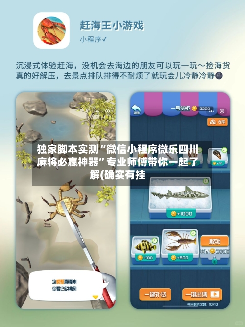 独家脚本实测“微信小程序微乐四川麻将必赢神器”专业师傅带你一起了解(确实有挂-第2张图片