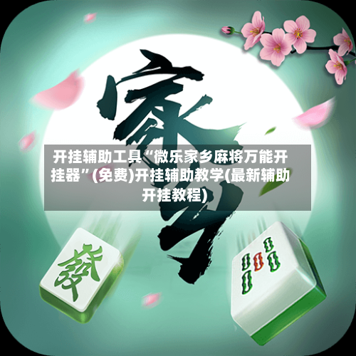 开挂辅助工具“微乐家乡麻将万能开挂器	”(免费)开挂辅助教学(最新辅助开挂教程)-第3张图片