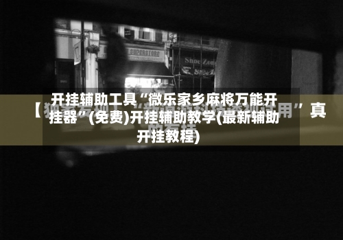 开挂辅助工具“微乐家乡麻将万能开挂器”(免费)开挂辅助教学(最新辅助开挂教程)-第2张图片