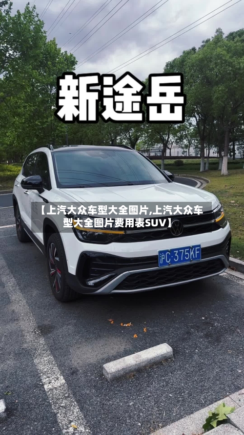 【上汽大众车型大全图片,上汽大众车型大全图片费用表SUV】-第1张图片