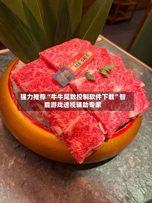 强力推荐“牛牛尾数控制软件下载”智能游戏透视辅助专家-第2张图片