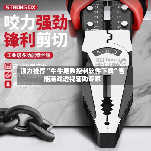 强力推荐“牛牛尾数控制软件下载”智能游戏透视辅助专家-第3张图片