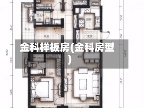 金科样板房(金科房型)-第1张图片