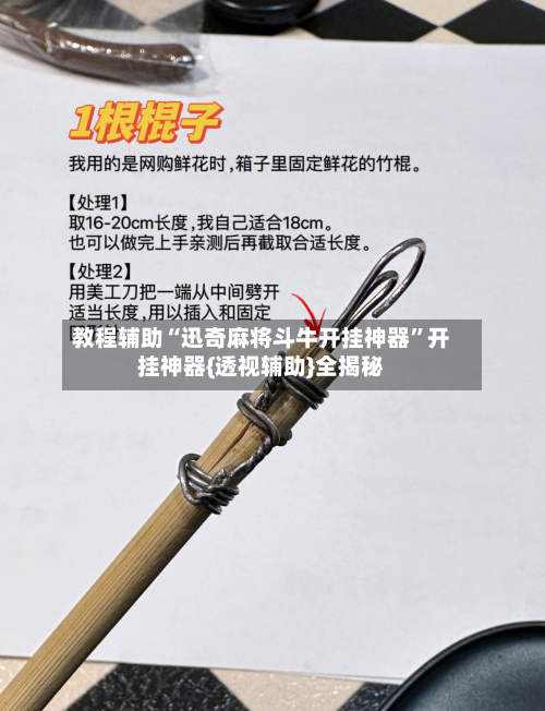 教程辅助“迅奇麻将斗牛开挂神器”开挂神器{透视辅助}全揭秘-第1张图片