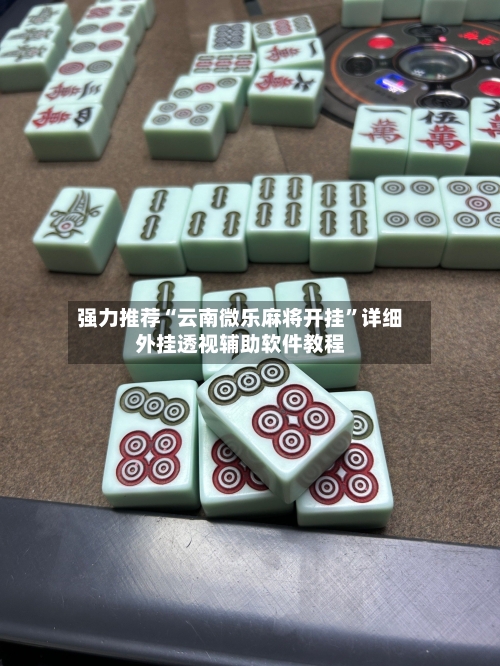 强力推荐“云南微乐麻将开挂”详细外挂透视辅助软件教程-第1张图片