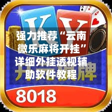 强力推荐“云南微乐麻将开挂”详细外挂透视辅助软件教程-第3张图片