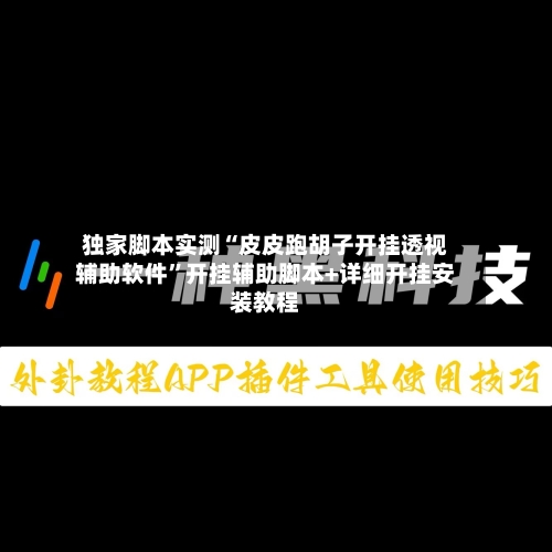 独家脚本实测“皮皮跑胡子开挂透视辅助软件”开挂辅助脚本+详细开挂安装教程-第3张图片
