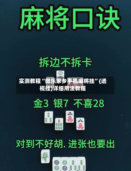 实测教程“微乐家乡手机麻将挂”(透视挂)详细用法教程-第3张图片