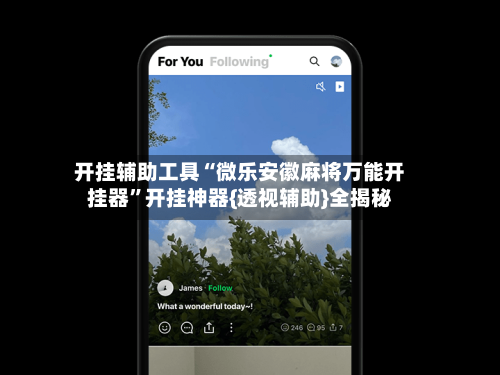 开挂辅助工具“微乐安徽麻将万能开挂器”开挂神器{透视辅助}全揭秘-第3张图片
