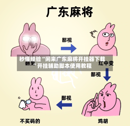 秒懂经验“闲来广东麻将开挂器下载”开挂辅助脚本使用教程-第1张图片