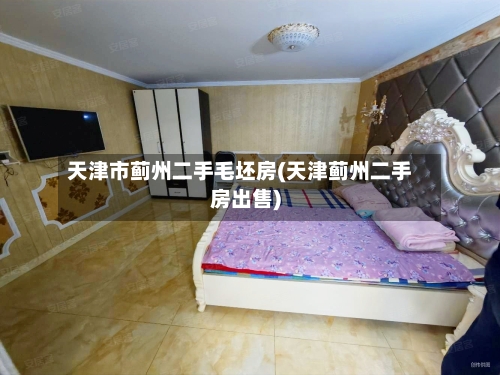天津市蓟州二手毛坯房(天津蓟州二手房出售)-第2张图片