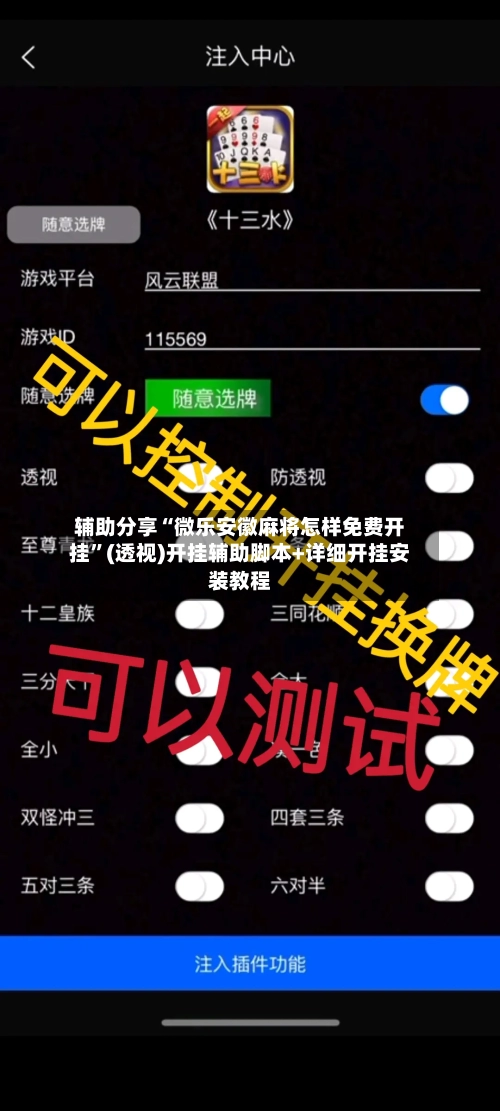 辅助分享“微乐安徽麻将怎样免费开挂	”(透视)开挂辅助脚本+详细开挂安装教程-第1张图片
