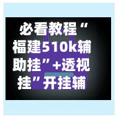 必看教程“福建510k辅助挂”+透视挂	”开挂辅助软件教程-第1张图片