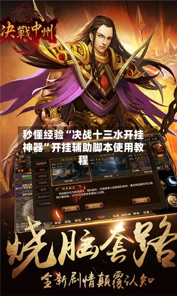 秒懂经验“决战十三水开挂神器	”开挂辅助脚本使用教程-第2张图片